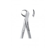 Extracting Forceps